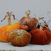 Image of Velvet Plush Pumpkin Harvest Large Set