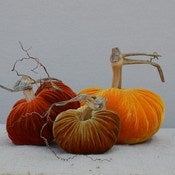 Image of Velvet Plush Pumpkin Harvest Trio