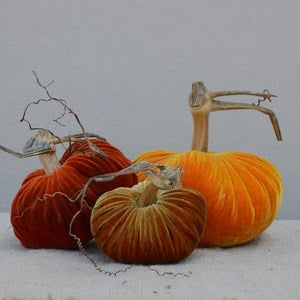 Image of Velvet Plush Pumpkin Harvest Trio