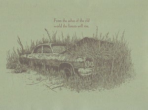 Image of From the Ashes