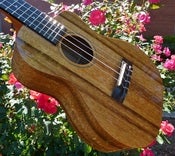 Image of Pono Acacia Tenor Deluxe Cutaway w Pickup