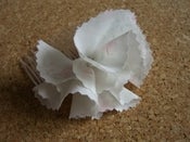 Image of Dainty Flower Hair Combs
