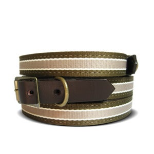 Image of Old School Stripe 106 Collar 