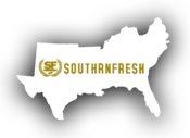 Image of Die Cut States Crest Decal