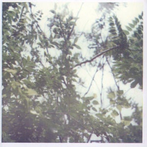 Image of Tashi Wada - Gradient 7"