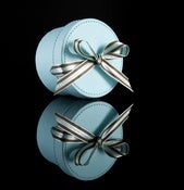 Image of Birdland Range Hat Box - only with jewellery purchase