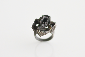 Image of Barnacle Ring