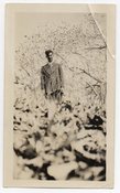 Image of MAN IN A TREE VINTAGE SNAPSHOT PHOTO 