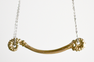 Image of Trail of Ammonite Necklace