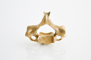 Image of Vertebra Ring