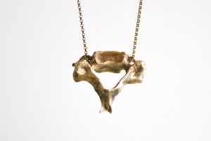Image of Vertebra Necklace