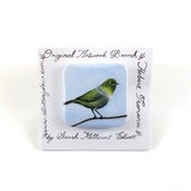 Image of Silvereye Brooch