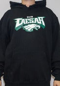 Image of Eagles Hoodie