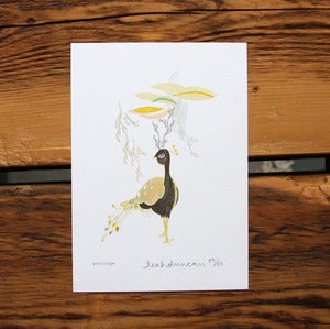 Image of Peacolope Print 5 x 7 