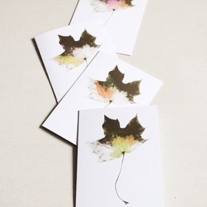Image of Watercoloured Maple Cards