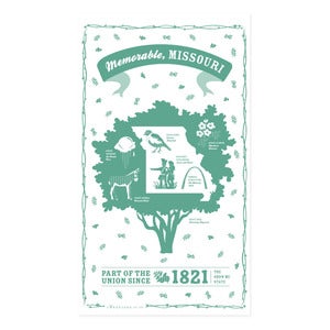 Image of Missouri State Towel