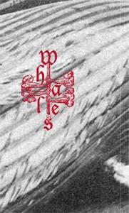 Image of Whales – Seibutsu Shigen cassette
