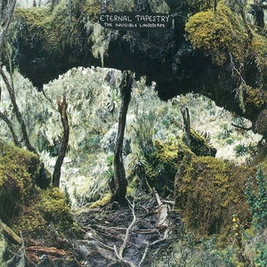 Image of Eternal Tapestry - Invisible Landscape LP