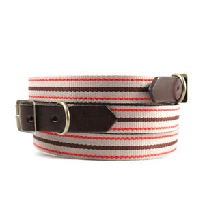 Image of Old School Stripe 104 Collar 