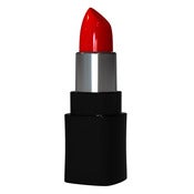 Image of LIP FLASK