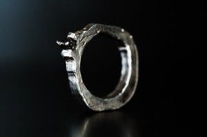 Image of ALICE WAESE | SOME/THINGS METEORITE RING