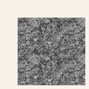 Image of TLV060: Girls Names - The New Life 12" - 5 copies left