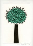 Image of Sharon Elphick<br>Summer