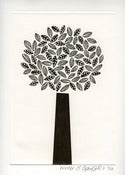 Image of Sharon Elphick<br>Winter