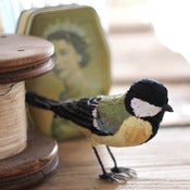Image of GREAT TIT
