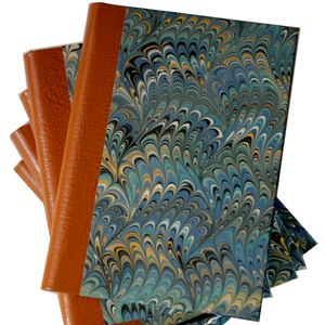 Image of Under the Sea - Feather Star