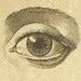 Image of Ultrasonic Eye-lift