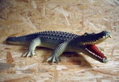 Image of Soft play alligator ♥