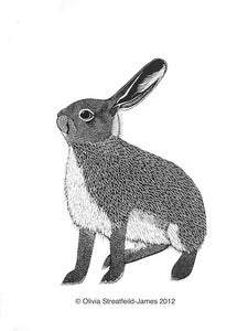 Image of Sandy-Leveret - Limited Edition Linocut print
