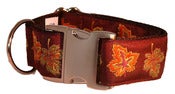 Image of Maine Foliage - Dog Collars