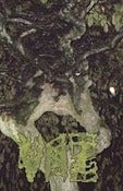 Image of Vaz "Chartreuse Bull" Damage Rituals Cassette 