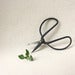 Image of pretty garden shears