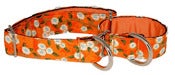 Image of Adeline Cherry Blossom - Martingale Collar