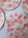 Image of Splop Plates