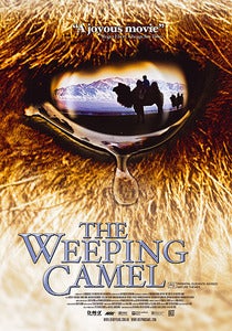 Image of The Story of the Weeping Camel