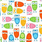 Image of Urban Zoologie Multicolored Owls