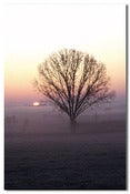 Image of Tunica Sunrise