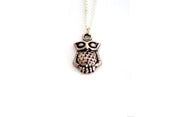 Image of He's a Hoot