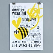 Image of BEE 