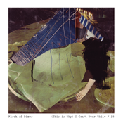 Image of FKR063 - Flock of Dimes - (This is Why) I Can't Wear White 7"