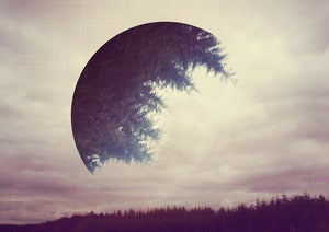 Image of Once Wilderness