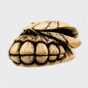 Image of The Grill - Bone
