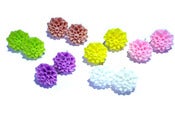 Image of chrysanthemum
