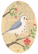 Image of Birdie 101