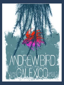 Image of Andrew Bird/Calexico Gig Poster by Punchgut