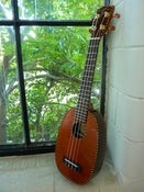Image of Mainland Cedar/Rosewood Long Neck Pineapple Soprano
